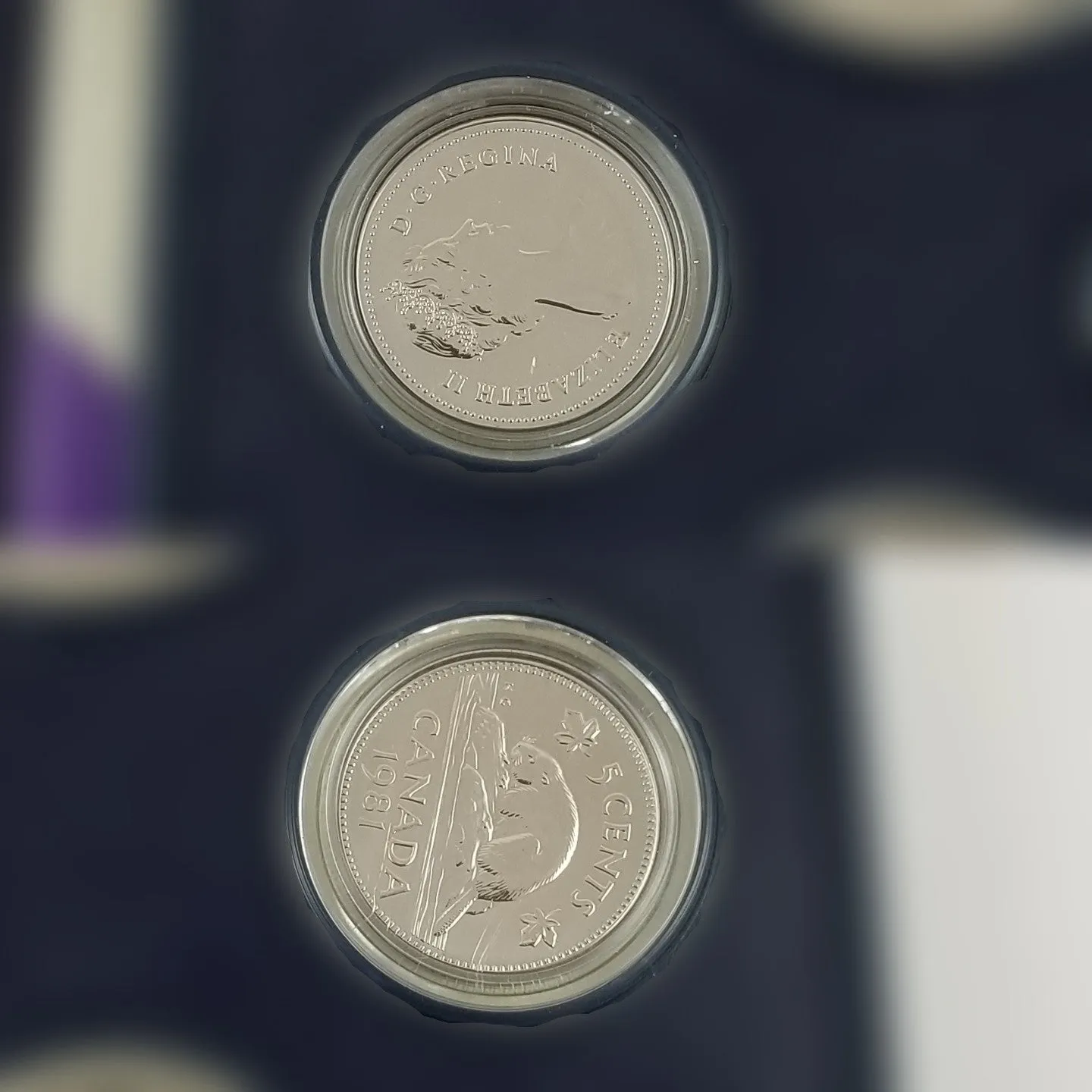 1981 Royal Canadian Mint 6 Coin Specimen Set