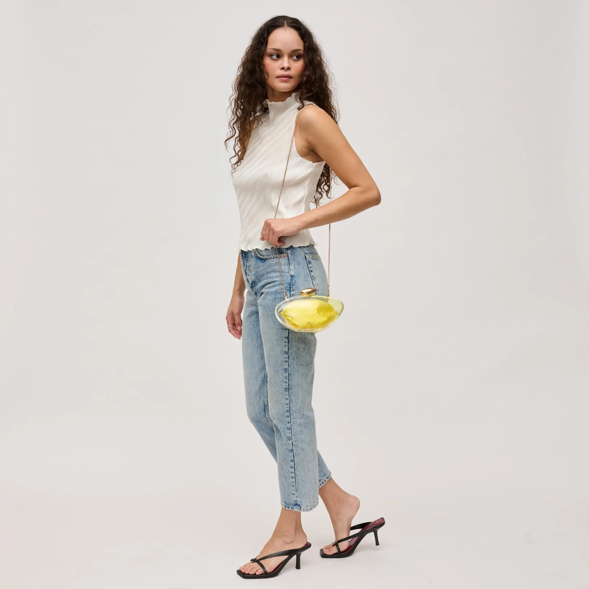 Hayden Evening Bag