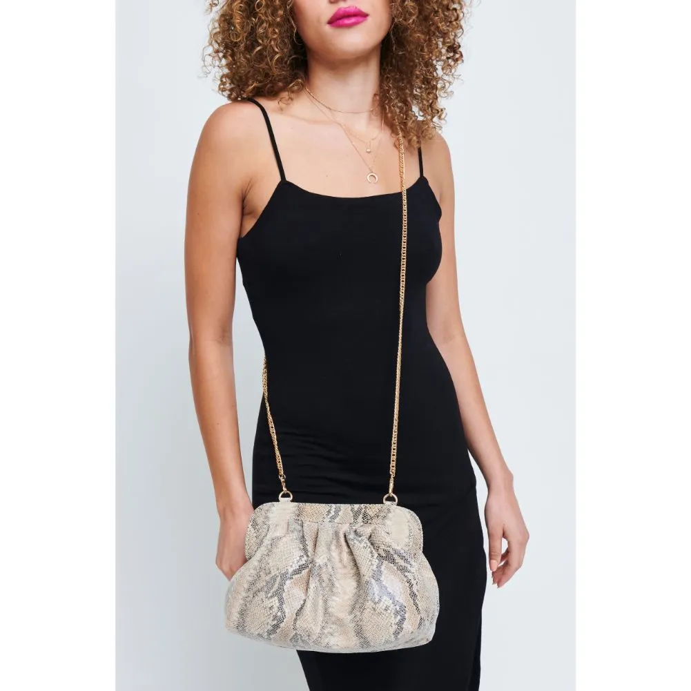 Remy Clutch