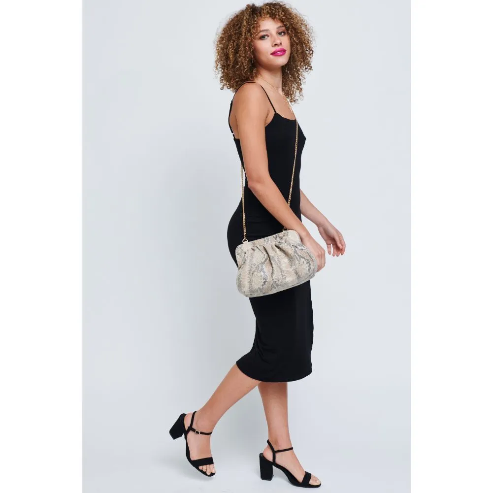 Remy Clutch