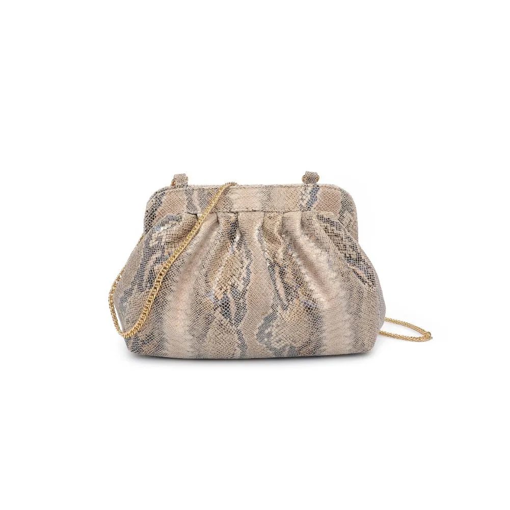 Remy Clutch