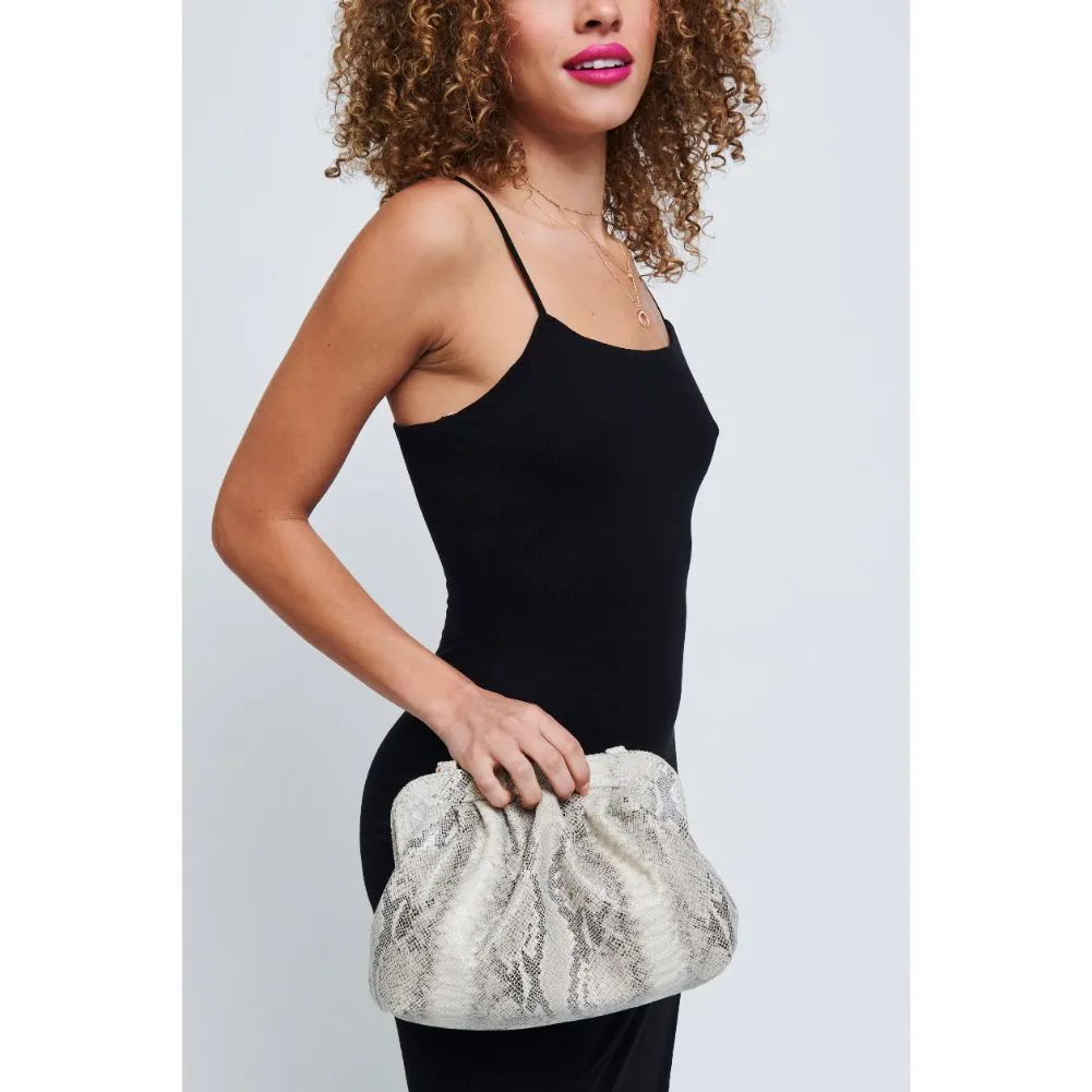 Remy Clutch