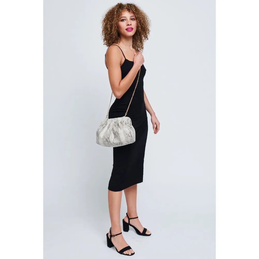 Remy Clutch