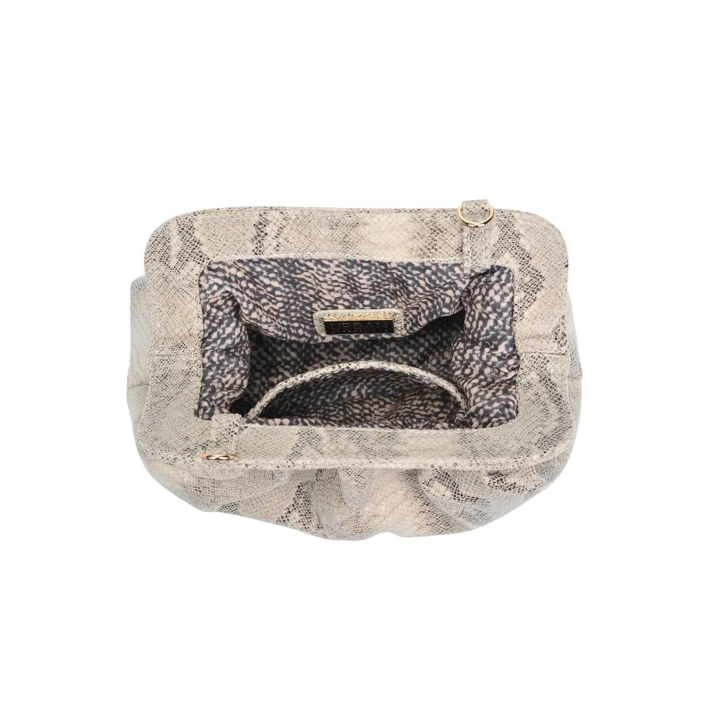 Remy Clutch