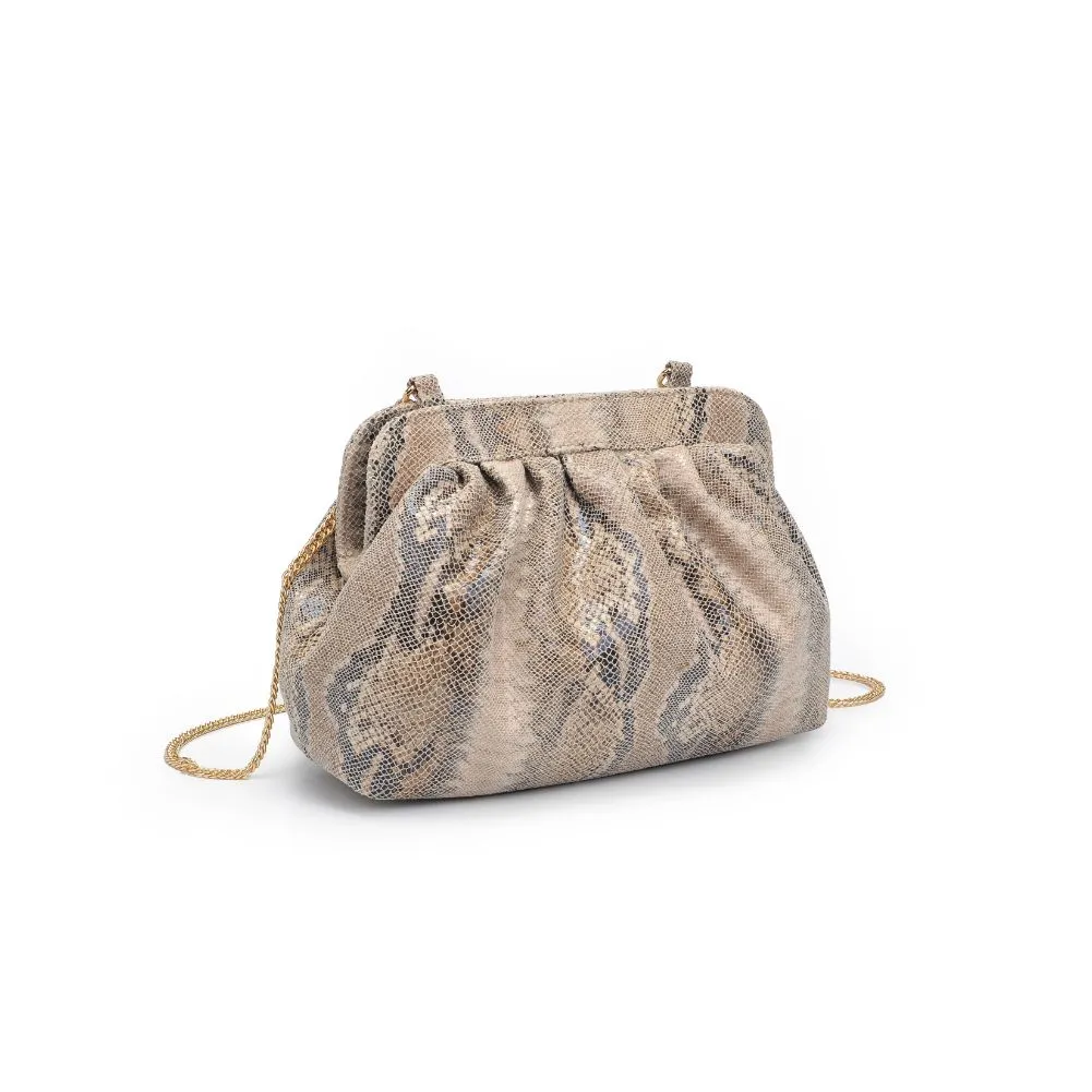 Remy Clutch